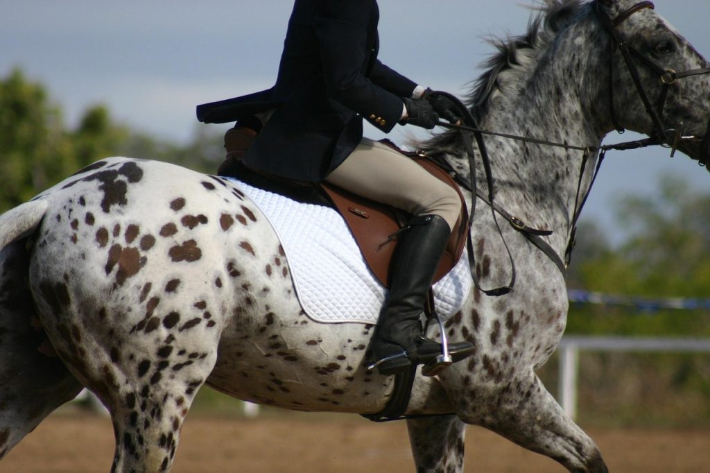 AS Poney : L'événement phare du concours complet d’équitation à ne pas manquer