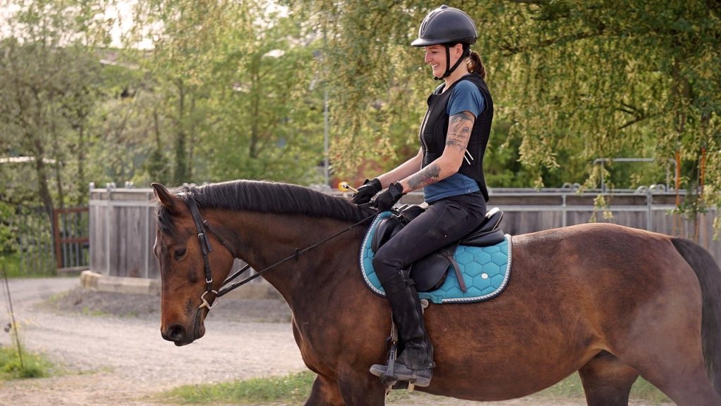 Journées du Cheval : Découvrez l'Équitation Éthologique à Alteyrac